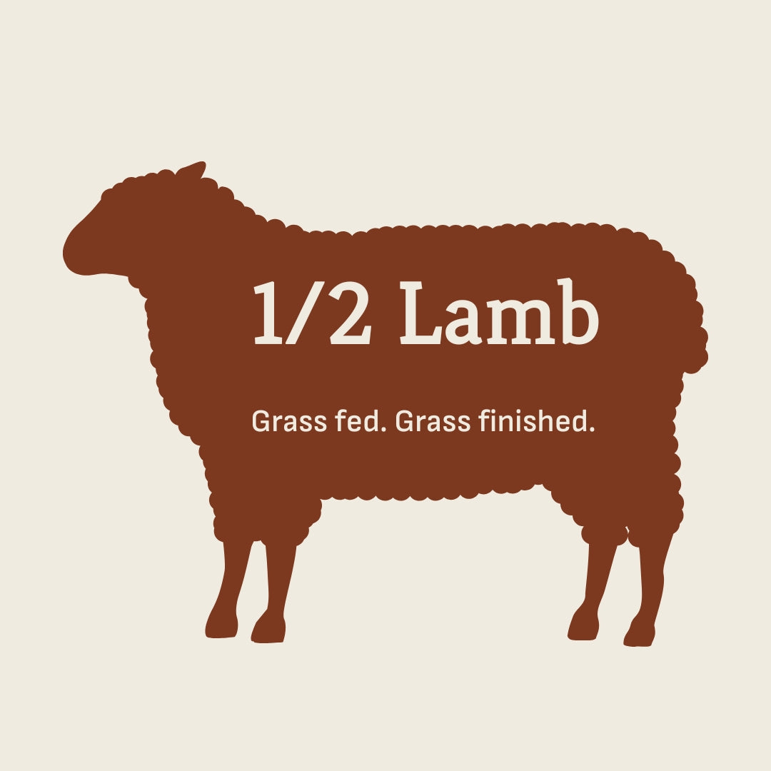 Half of Grassfed Lamb - DECEMBER PICKUP