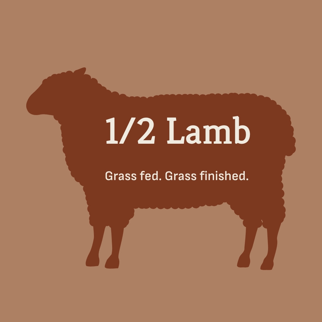 Half of Grassfed Lamb - JUNE PICKUP