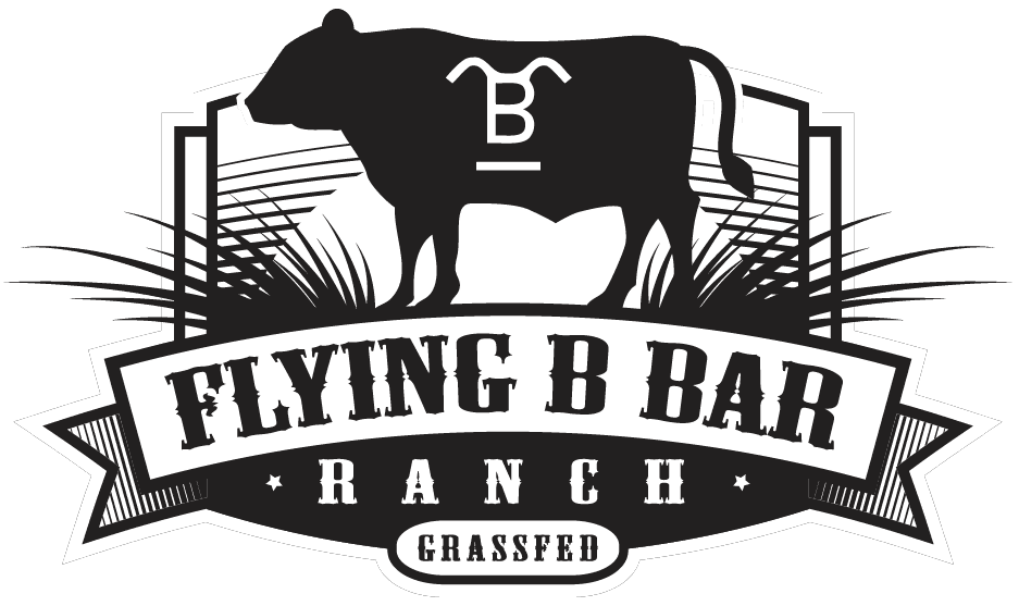 Flying B Bar Ranch