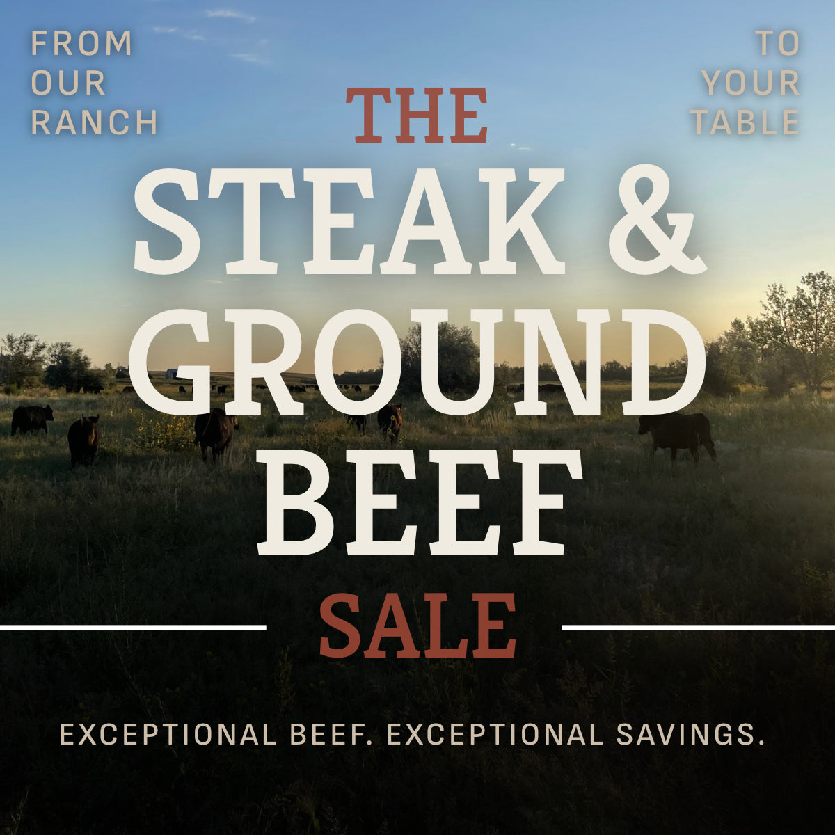 Steak and Ground Beef Sale!