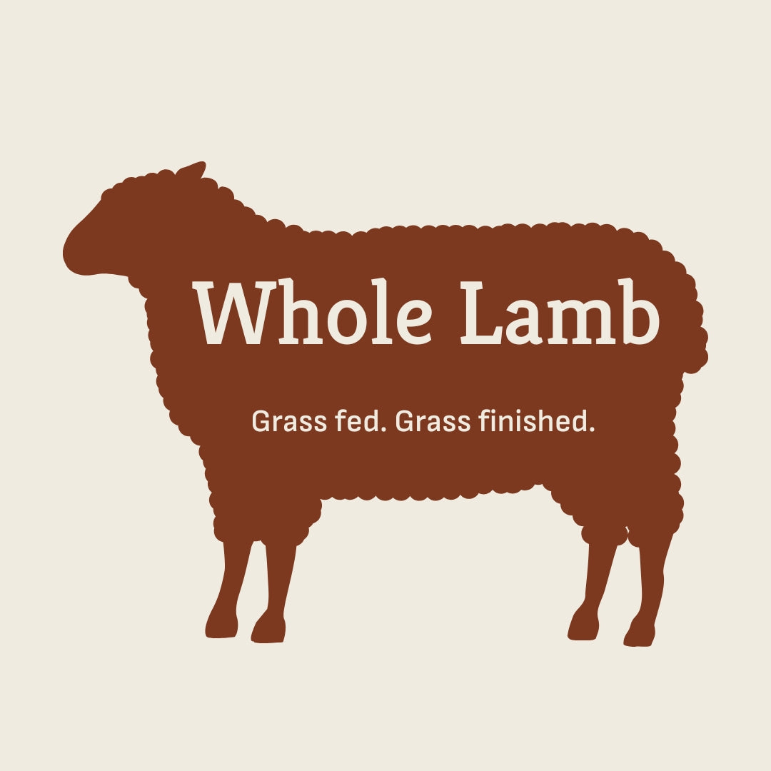 Whole Grassfed Lamb - MAY PICKUP