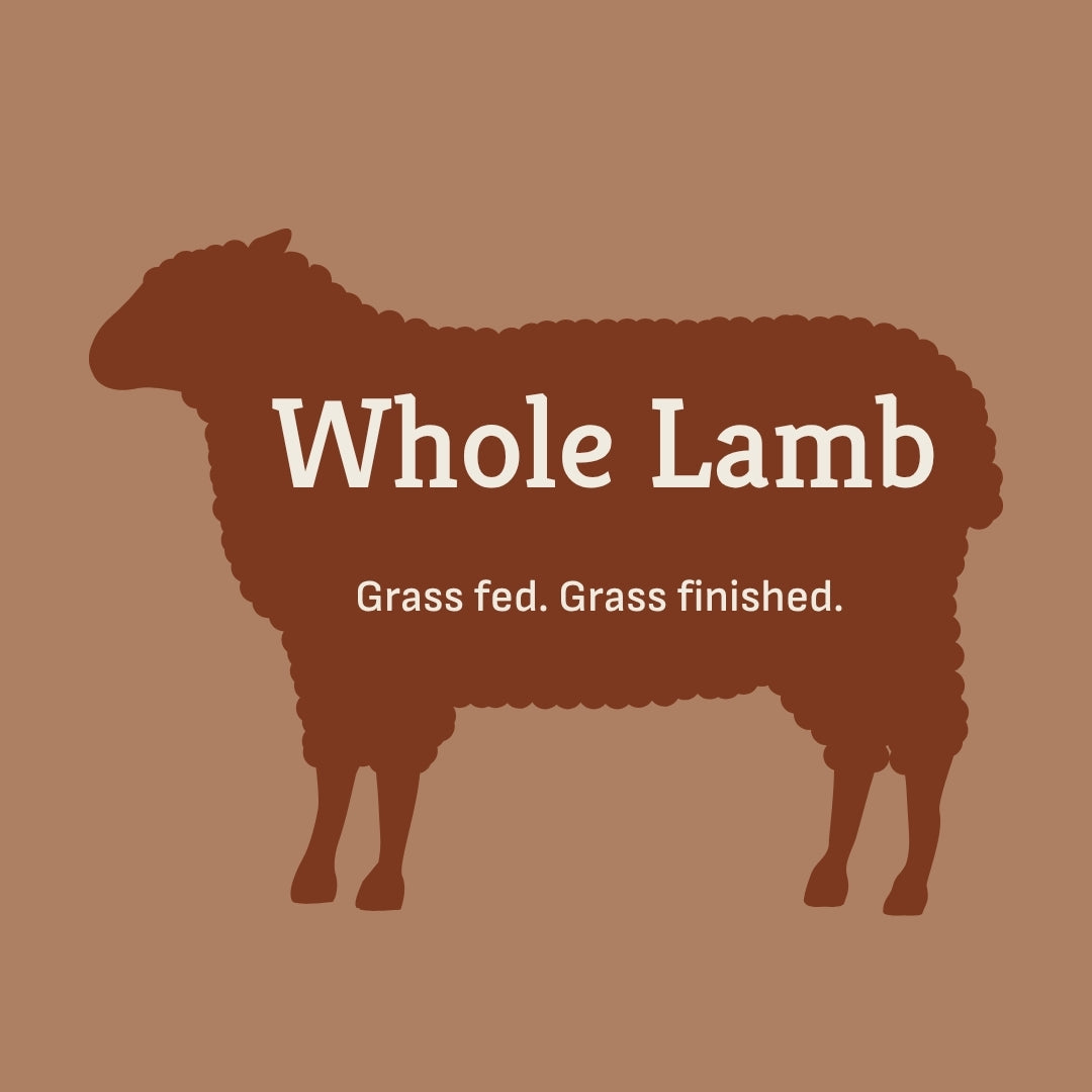 Whole Grassfed Lamb - JUNE PICKUP